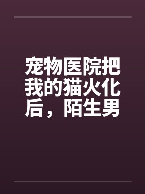 宠物医院把我的猫火化后,陌生男人说我是他老婆 宠物医院把我的猫火化后,陌生男人说我是他老婆